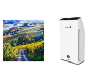 Webber Outlet OCZYSZCZACZ POWIETRZA WEBBER AP8700 [#] - 1564541 - zdjęcie 1